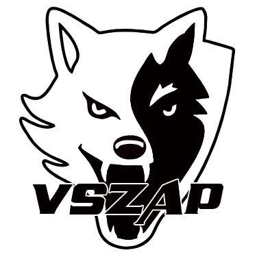 VSZAP服饰旗舰店