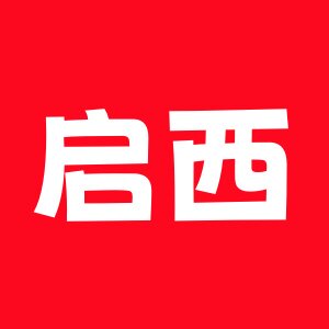 启西食品专营店