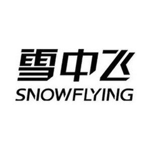 雪中飞讯雷专卖店
