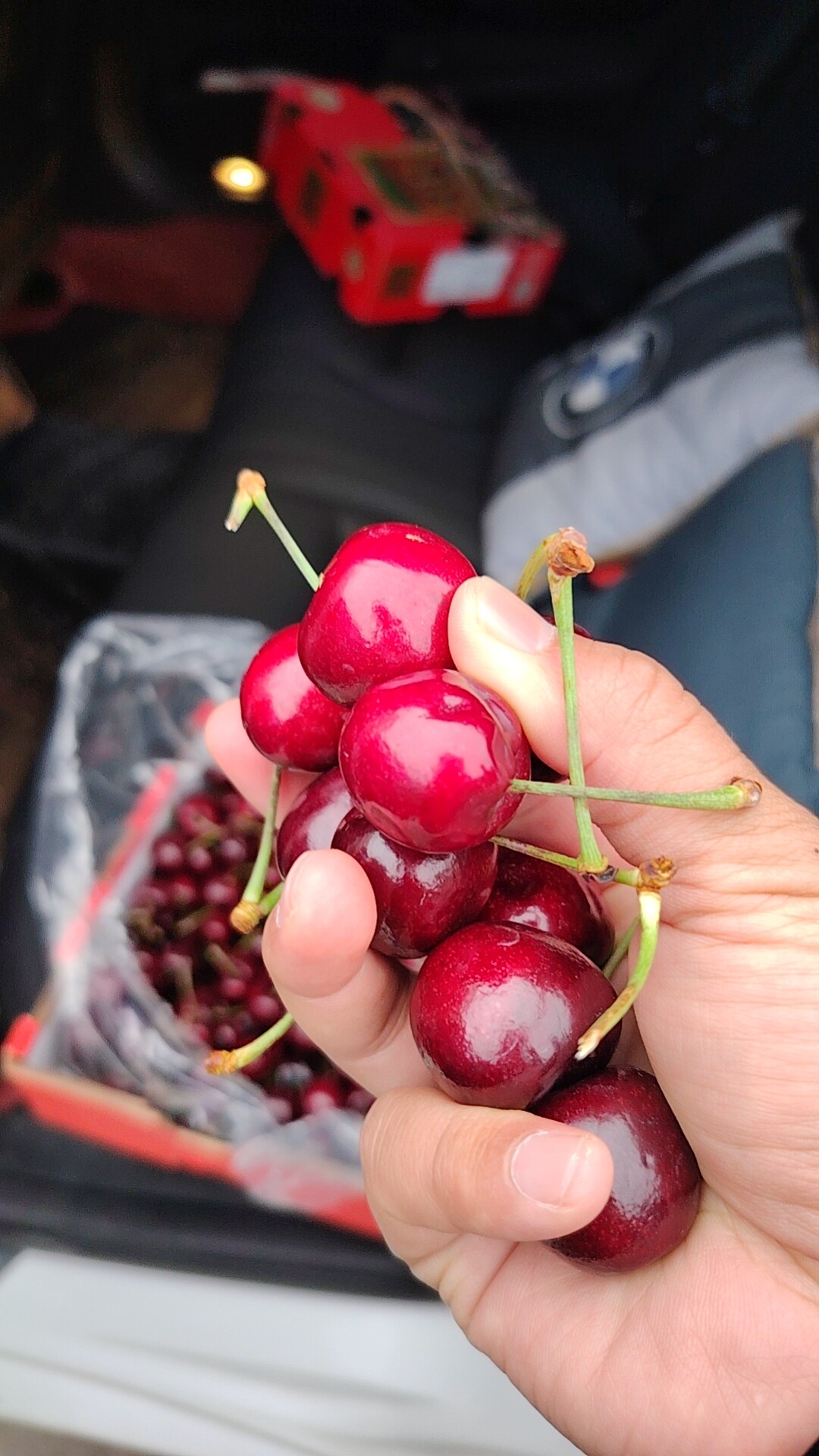 小土逗猕旗舰店