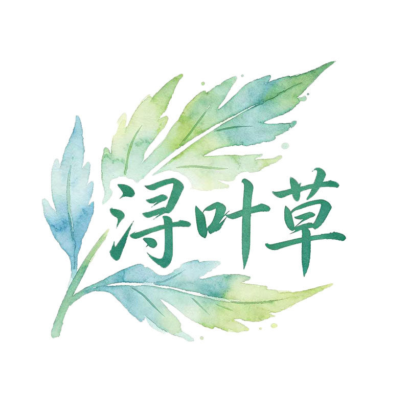 浔叶草旗舰店