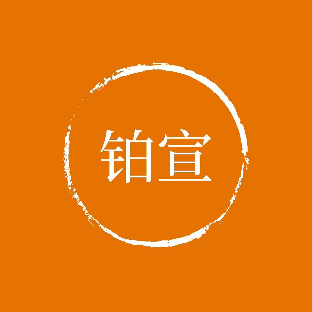 铂宣旗舰店 店铺LOGO