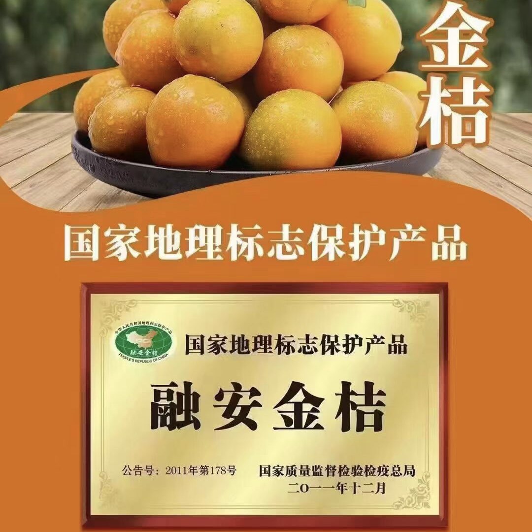 广西融安甘草金桔企业店