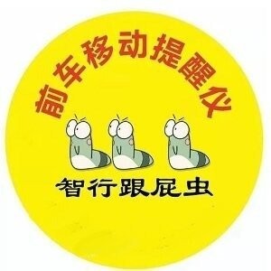 黑蝌蚪电子科技有限公司 店铺LOGO
