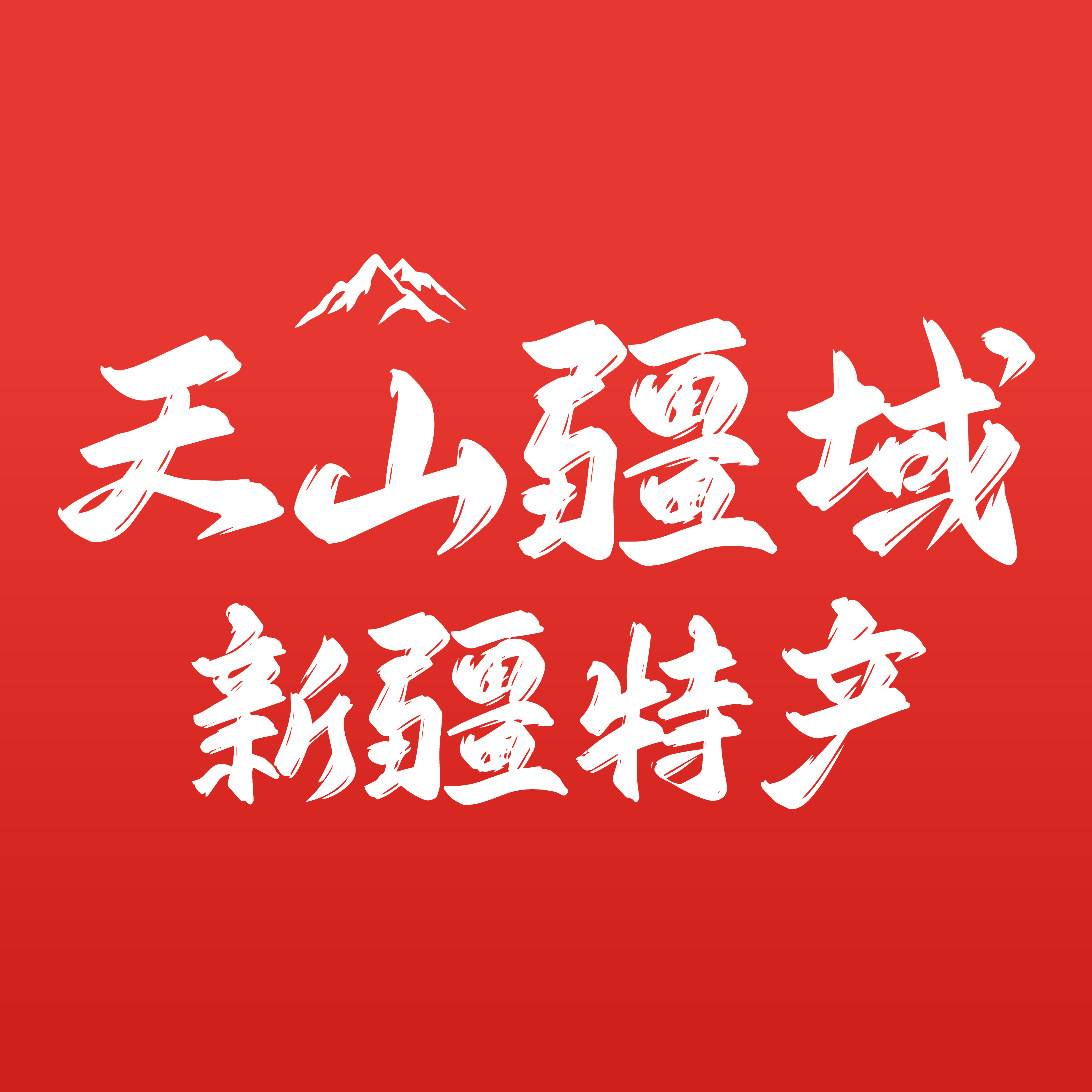 天山疆域食品专营店