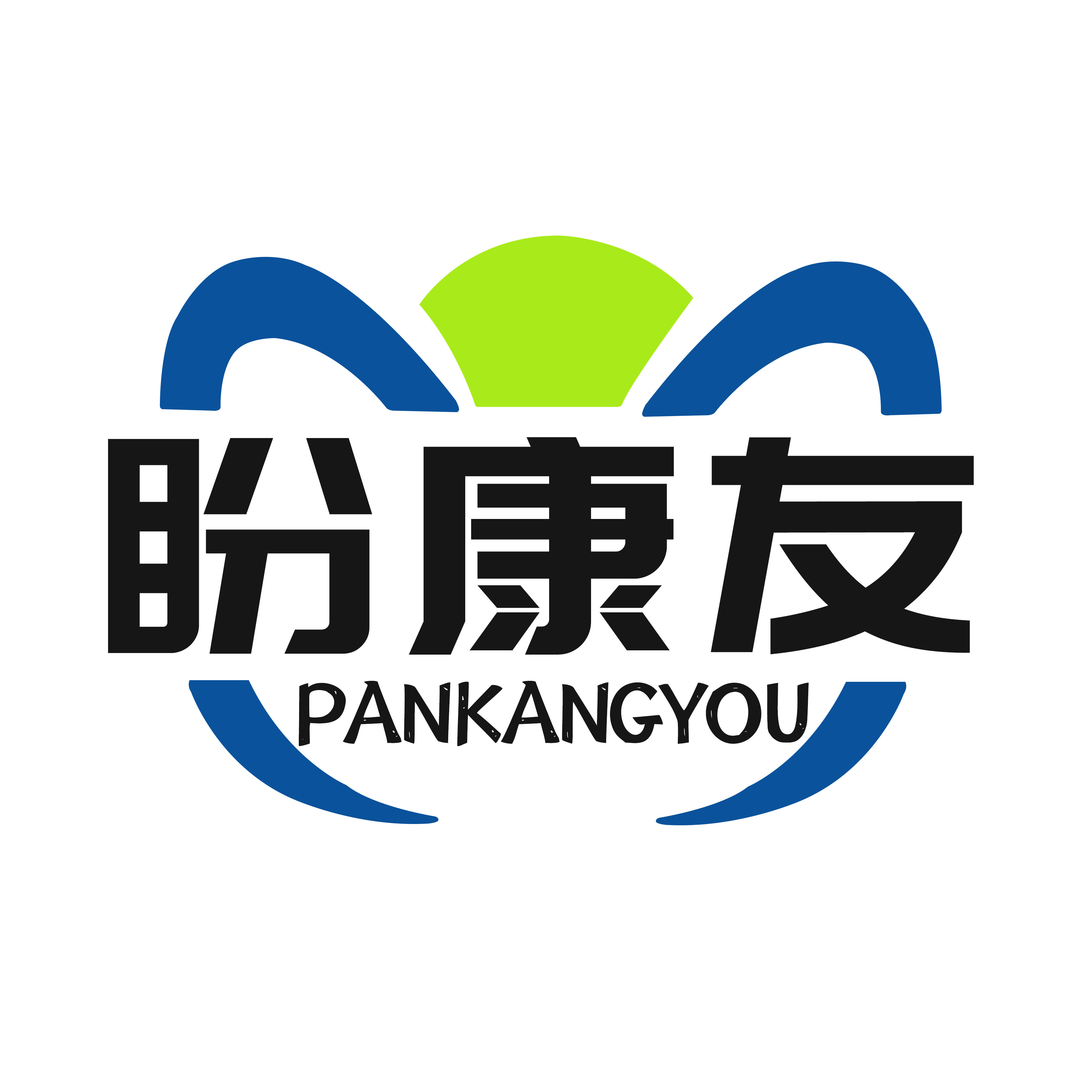 盼康友壹号医药专营店