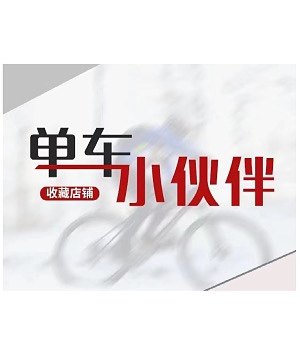 单车小伙伴