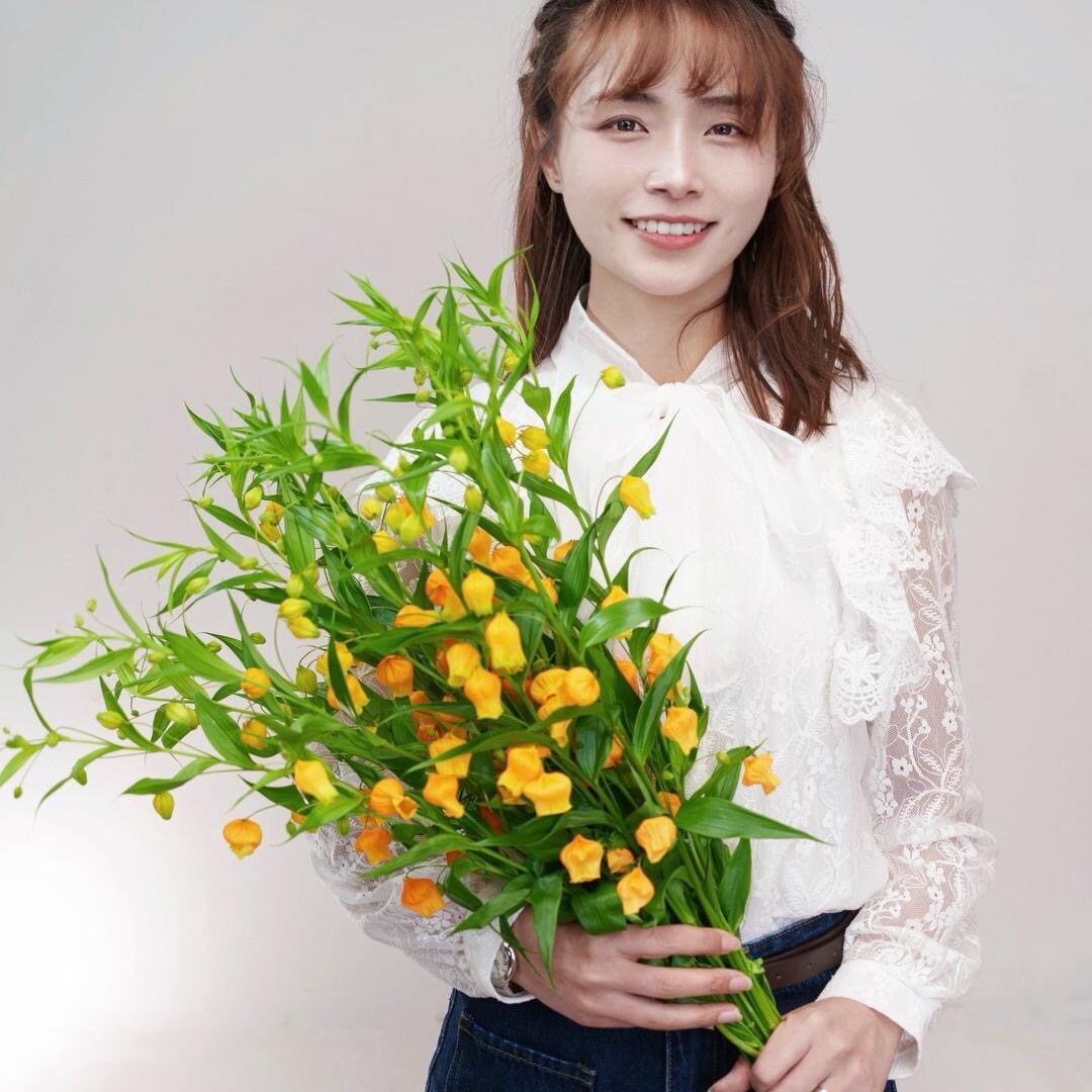 思芹花卉