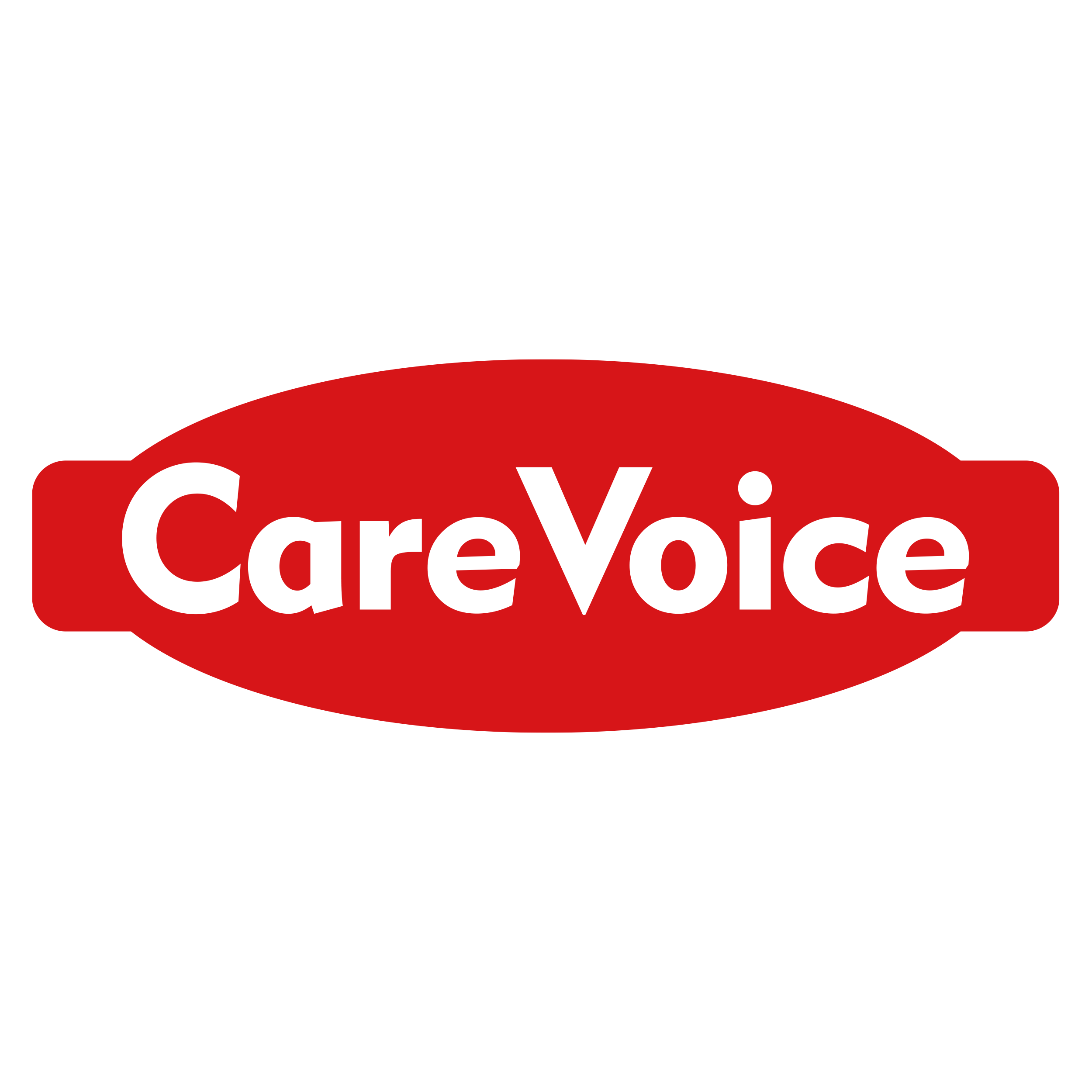 CareVoice海外旗舰店 店铺LOGO