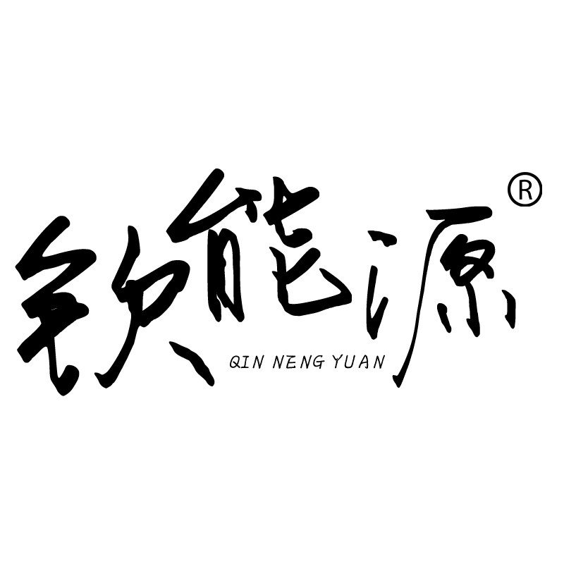 钦能源车品旗舰店