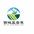 西域蓝雪草旗舰店