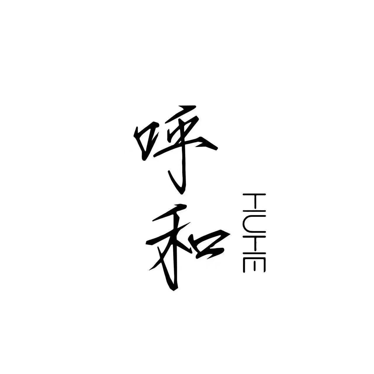 呼和乐器旗舰店