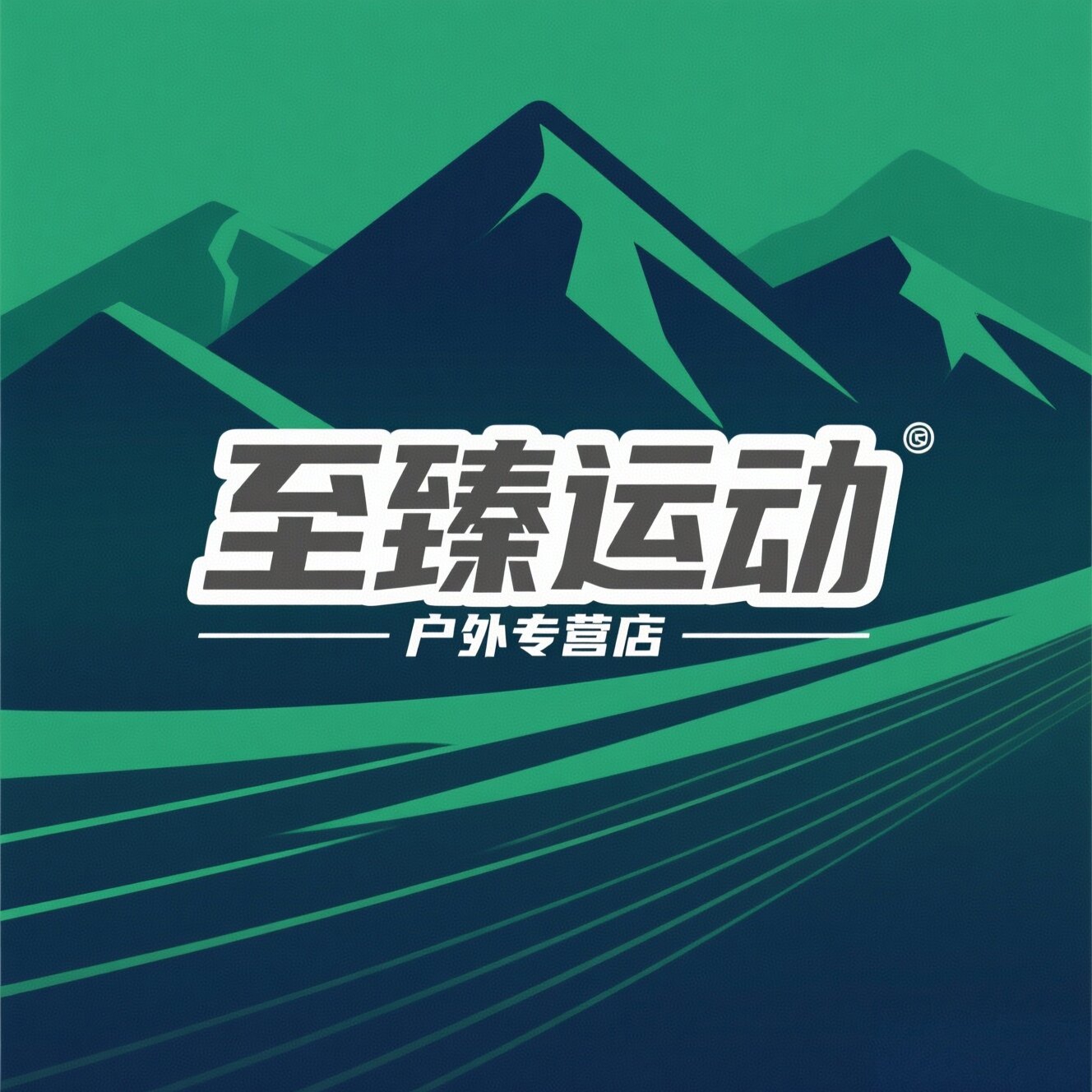 至臻运动户外专营店