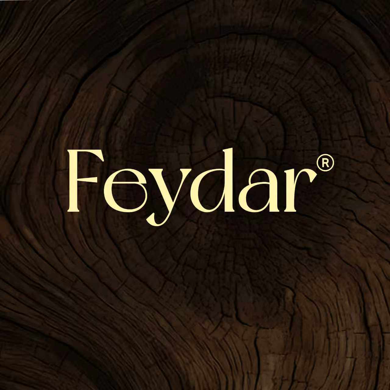 Feydar旗舰店 店铺LOGO