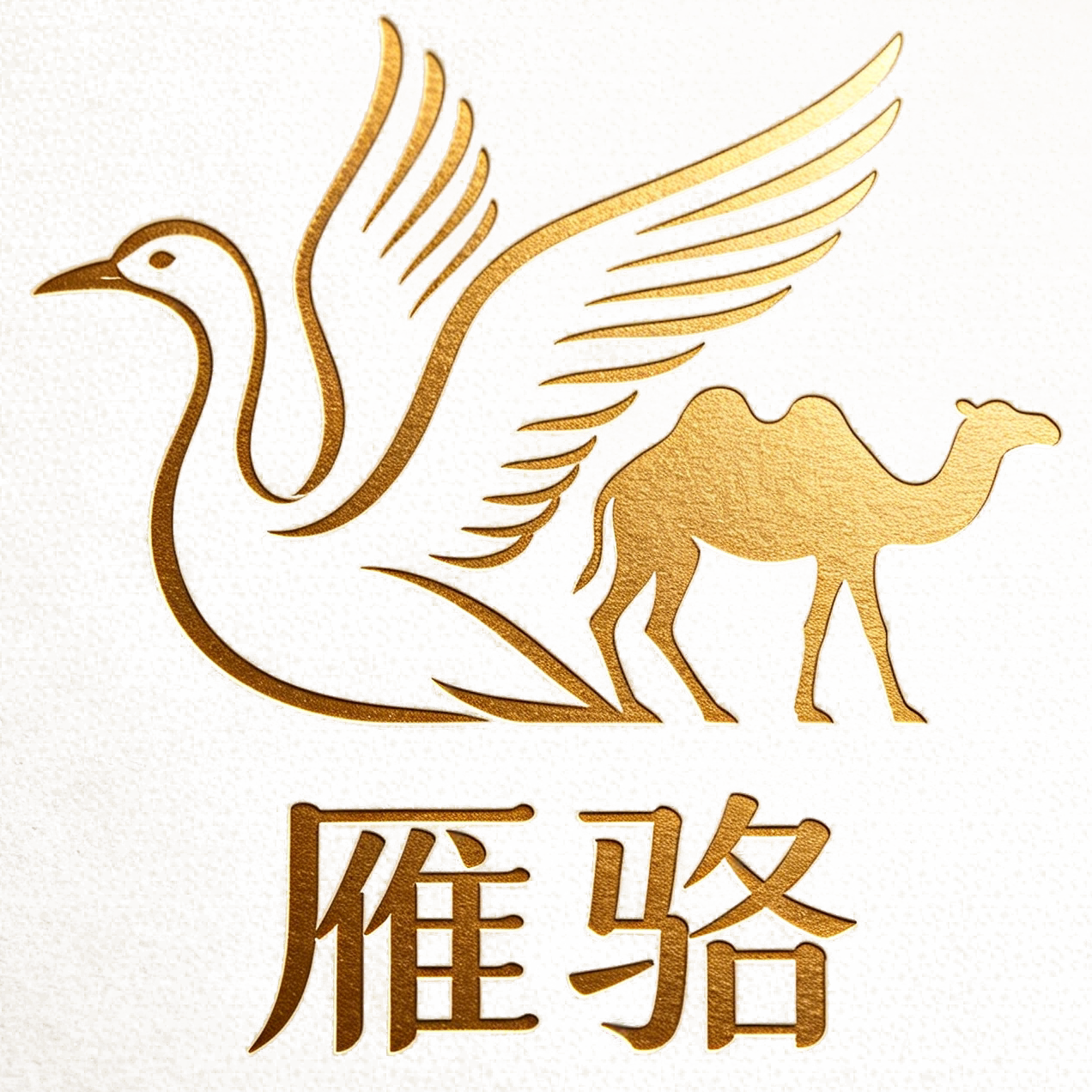 雁骆旗舰店