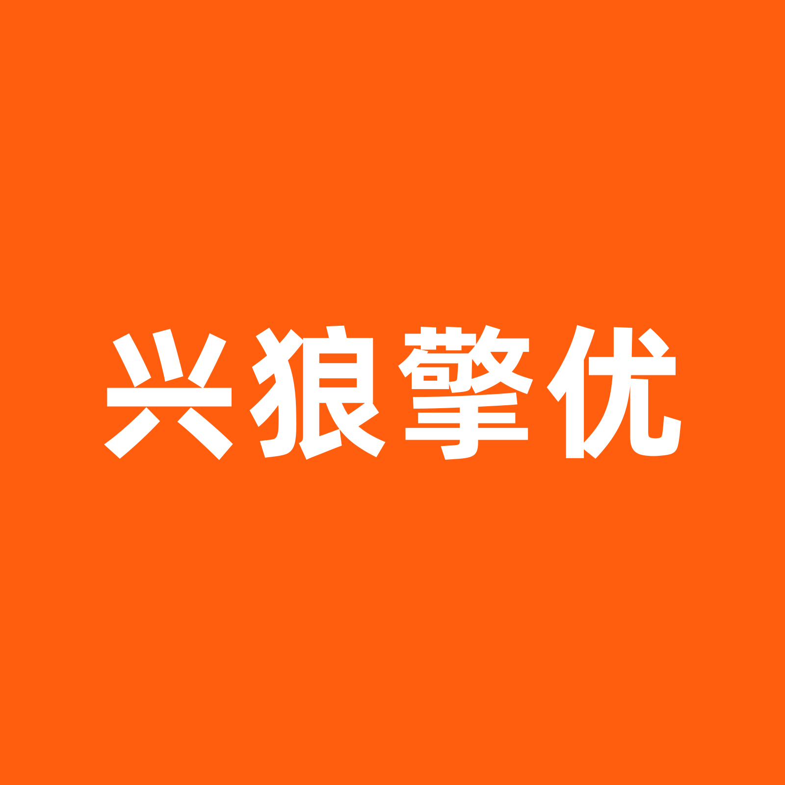 兴狼擎优电子锁旗舰店