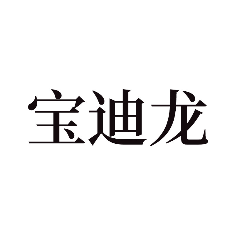 宝迪龙旗舰店