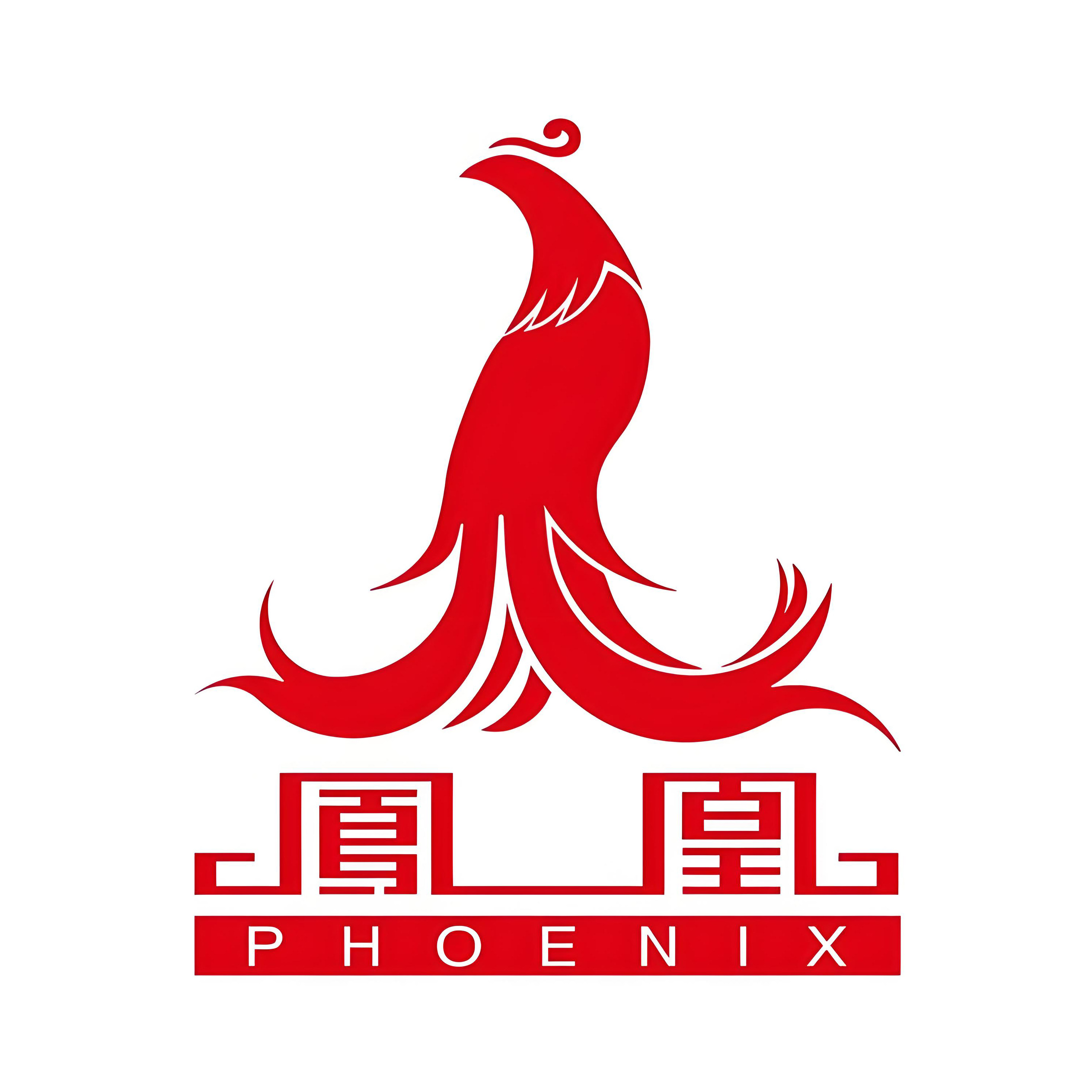 phoenix凤凰电助力旗舰店