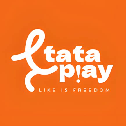 tataplay乐器旗舰店