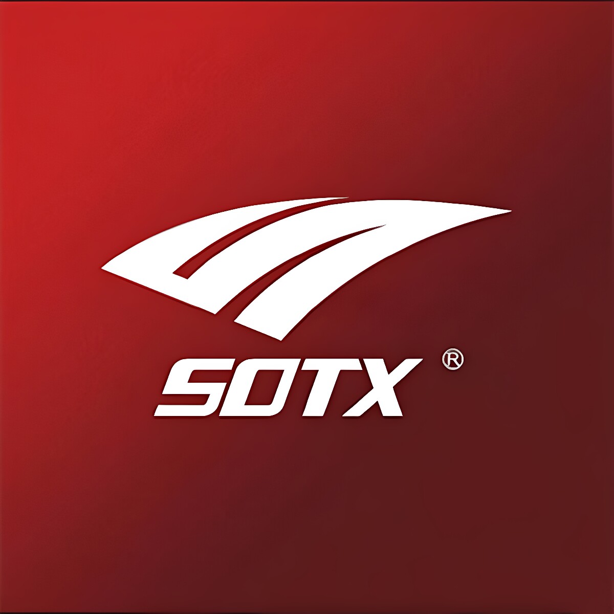 SOTX索牌粒恒专卖店