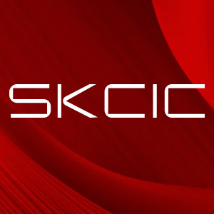 SKINSATIONS旗舰店 店铺LOGO