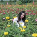新世界花木城