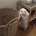 肤严选全球海购