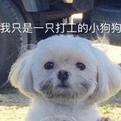 三只小白电器商城 店铺LOGO
