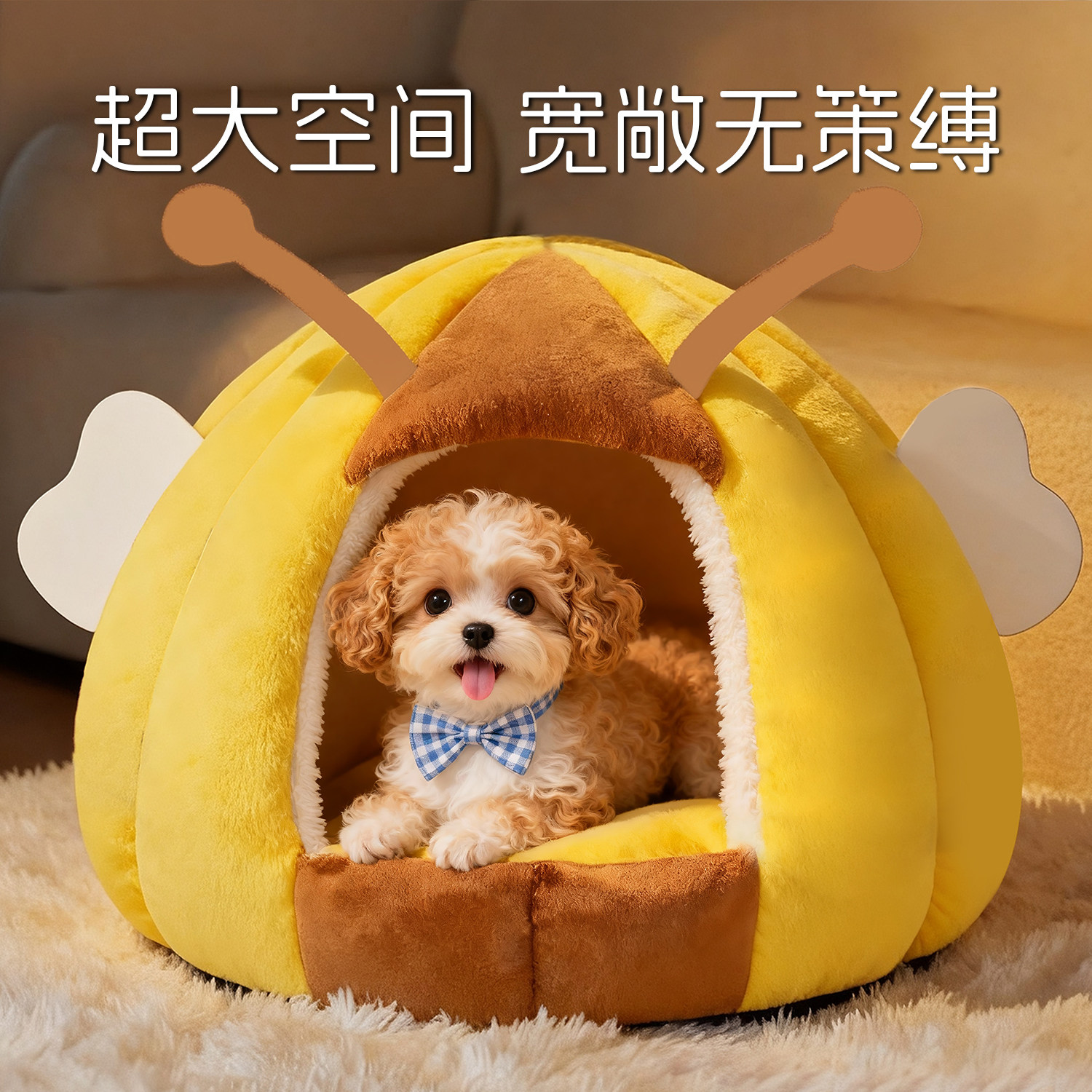 仲宠堂爱它专卖店