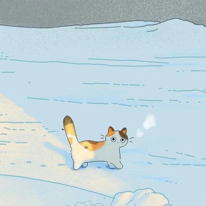 猫岛商店catisland