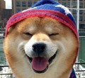 笨笨宠粮