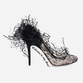 Lionshoe