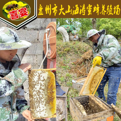 盘州大山海涛蜂蜜店