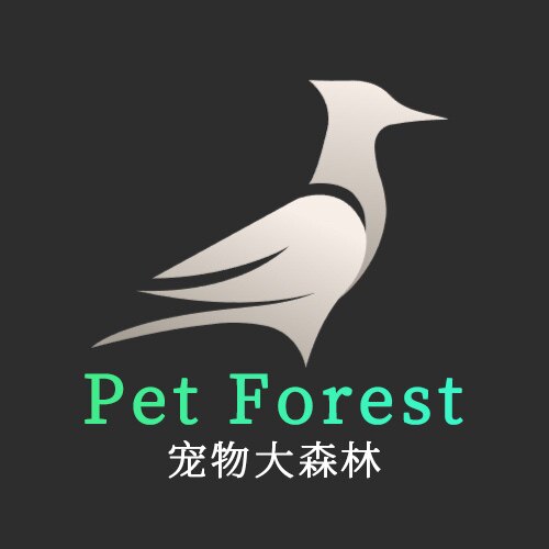 宠物大森林