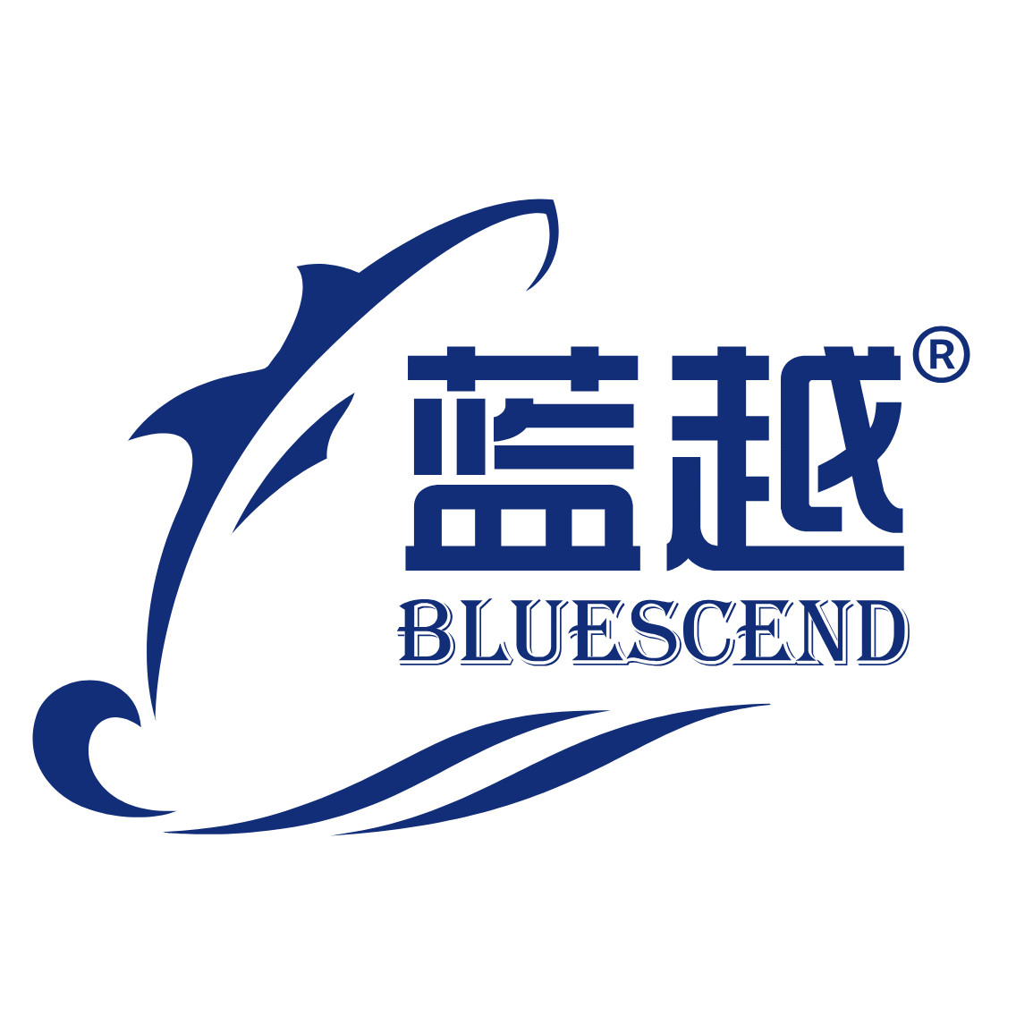 蓝越食品专营店