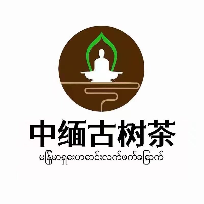 中缅边境源头古树茶