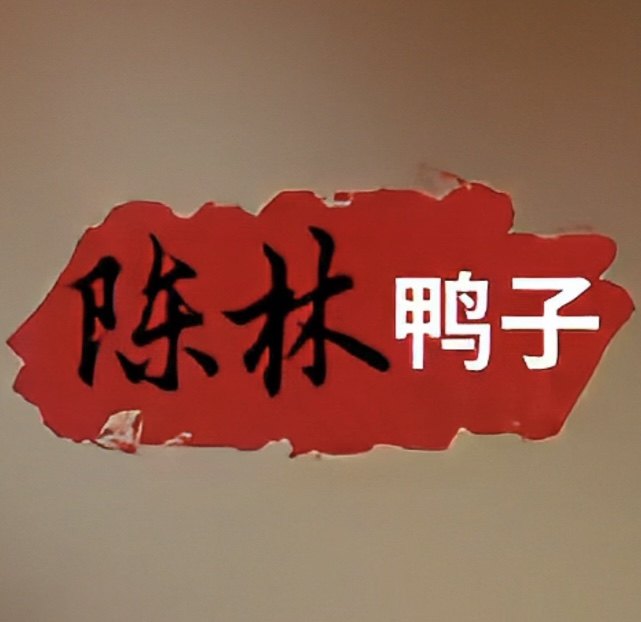 陈林鸭子