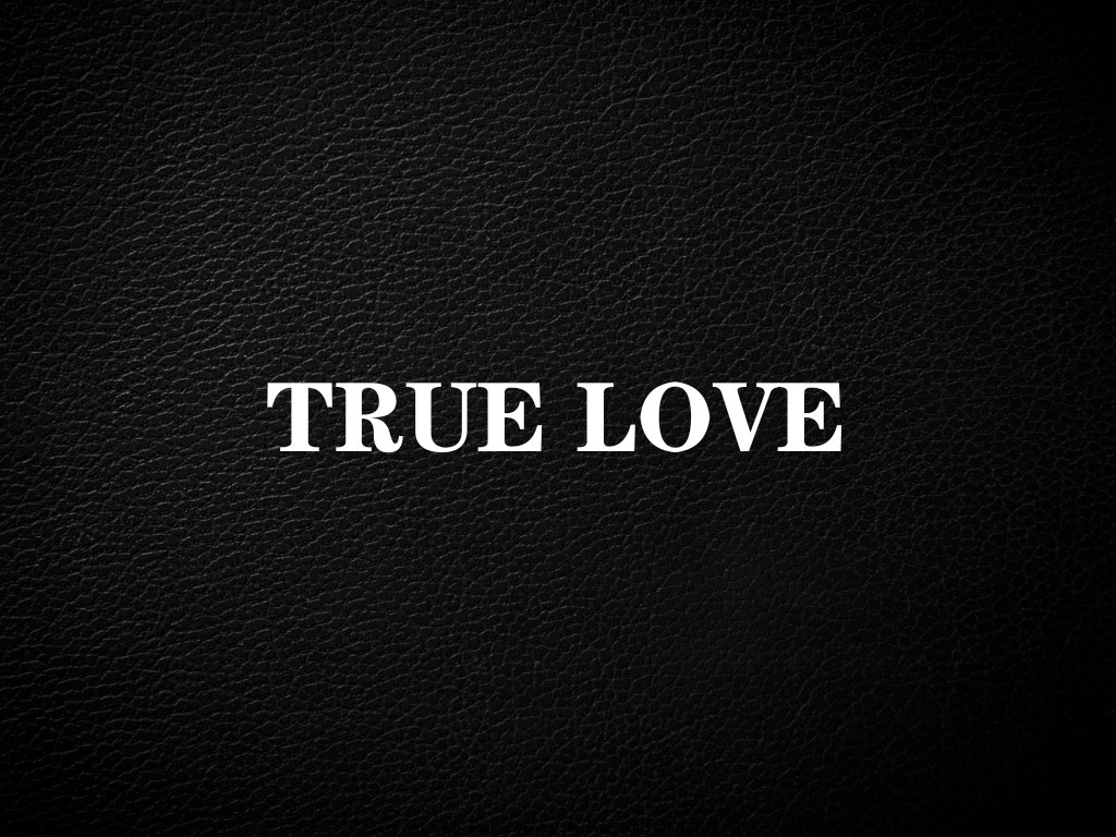 TRUE LOVE眼镜 店铺LOGO