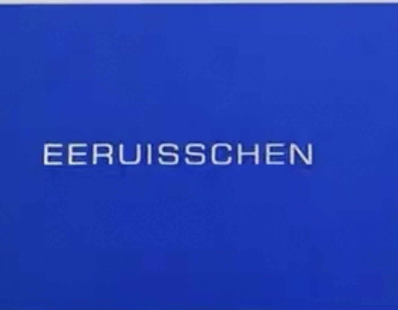 EERUISS CHEN 店铺LOGO