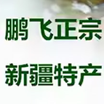 鹏飞正宗新疆特产店