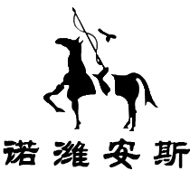诺维安斯鞋业