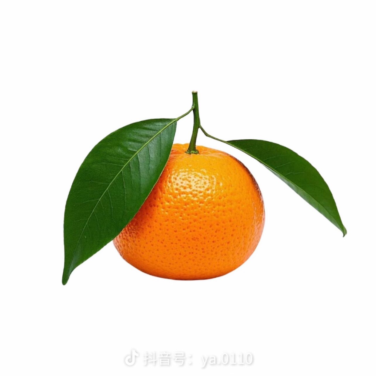 潮汕顺兴农产品