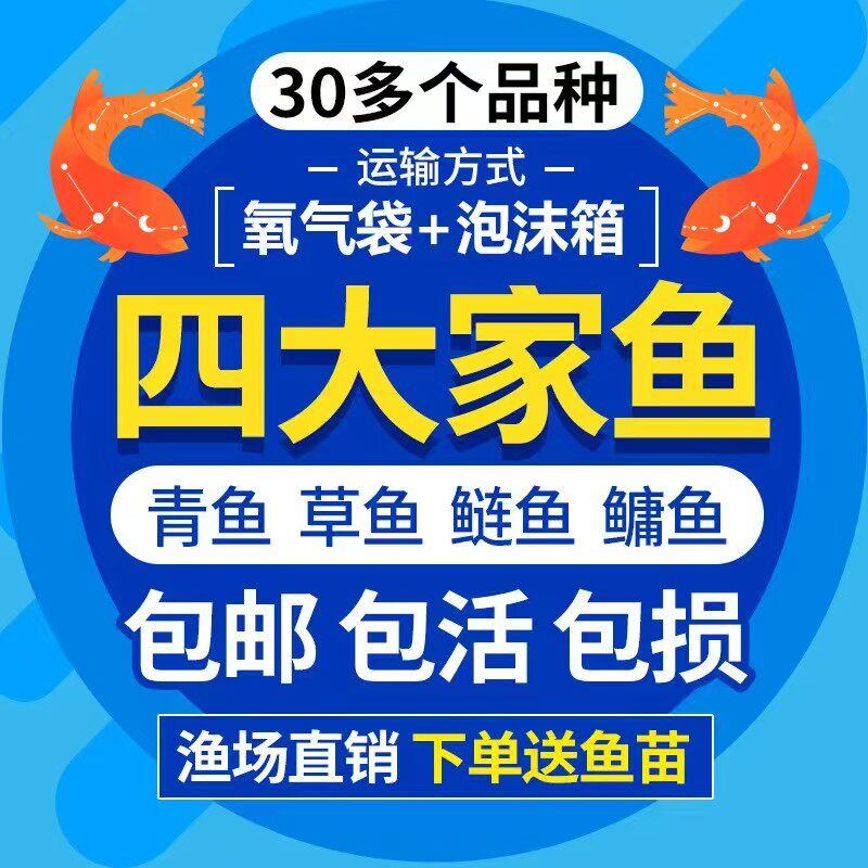 大型鱼苗基地
