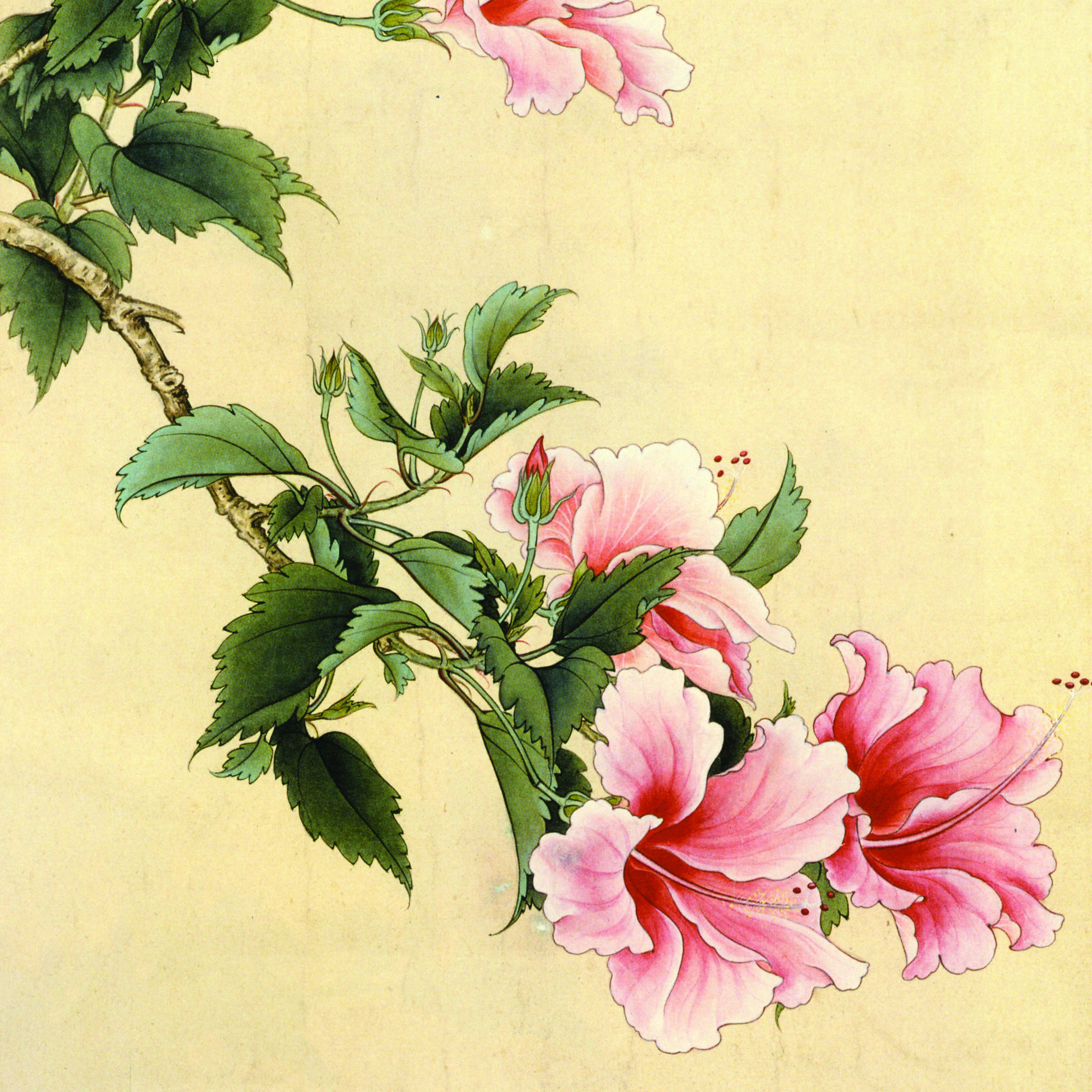 画艺工笔画白描底稿素材