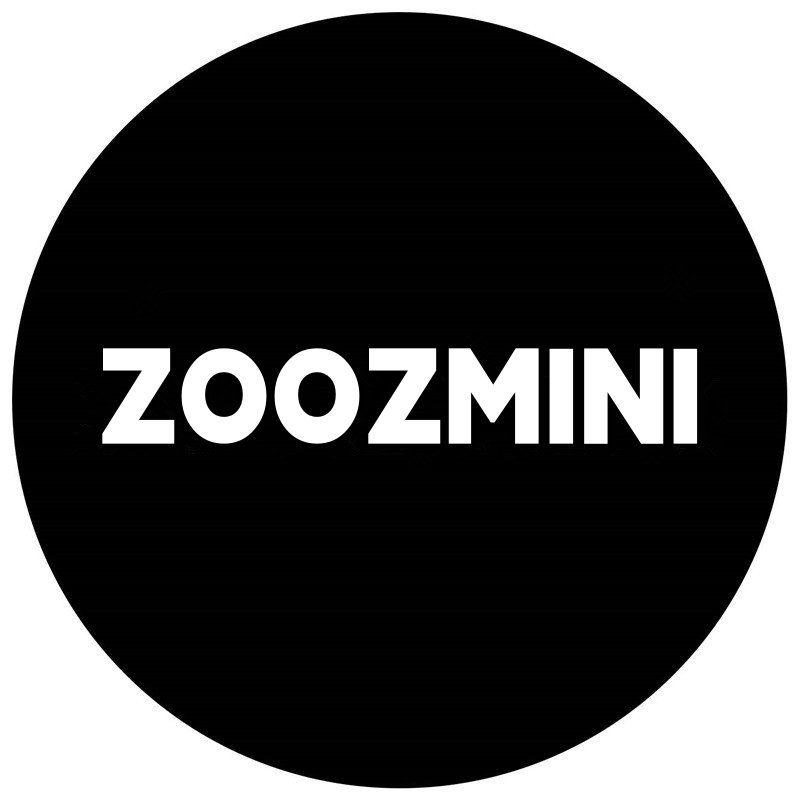 ZOOZMINI