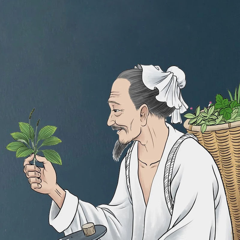 华珍药行