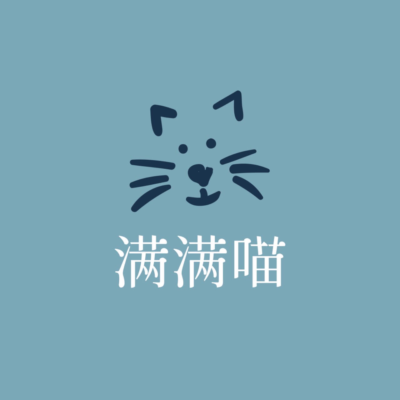 满满喵玩具