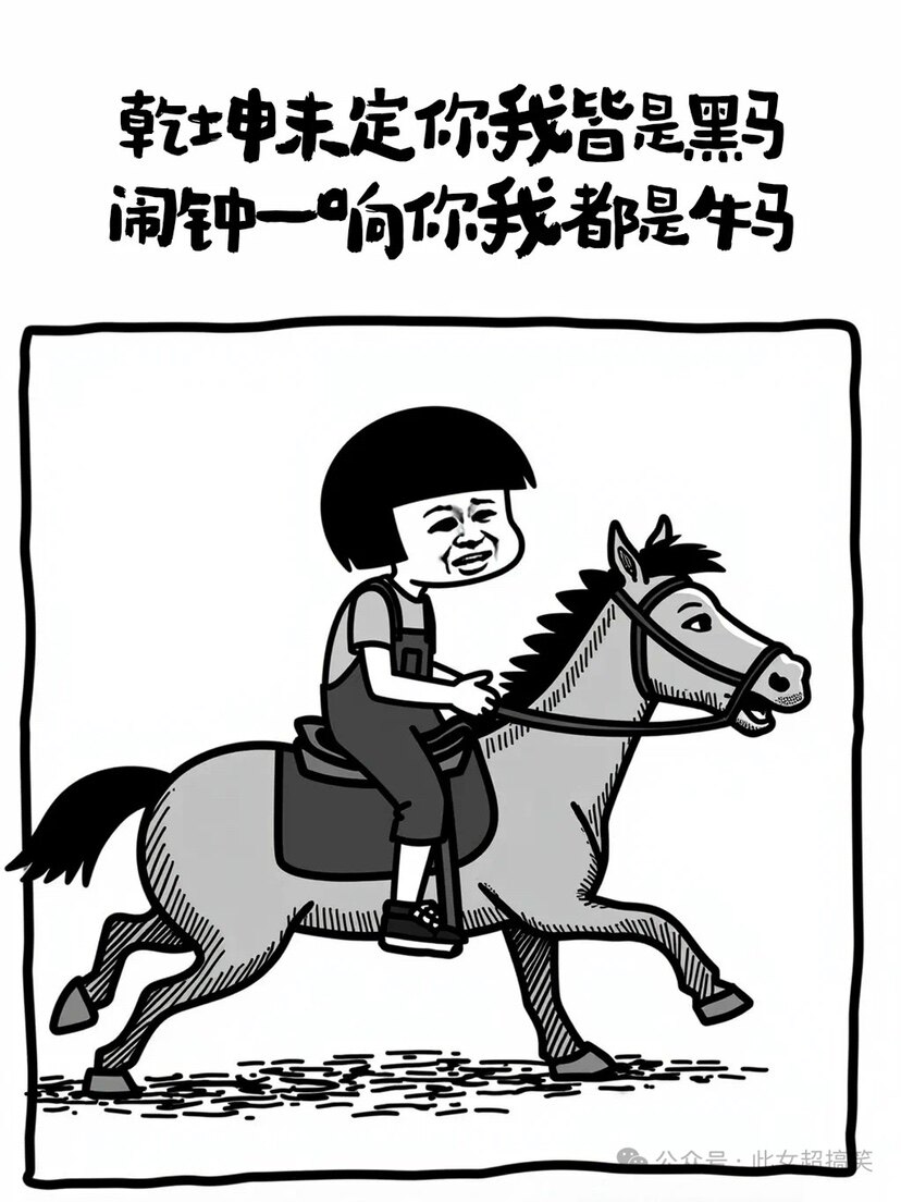 镭射大王车贴  行业前三