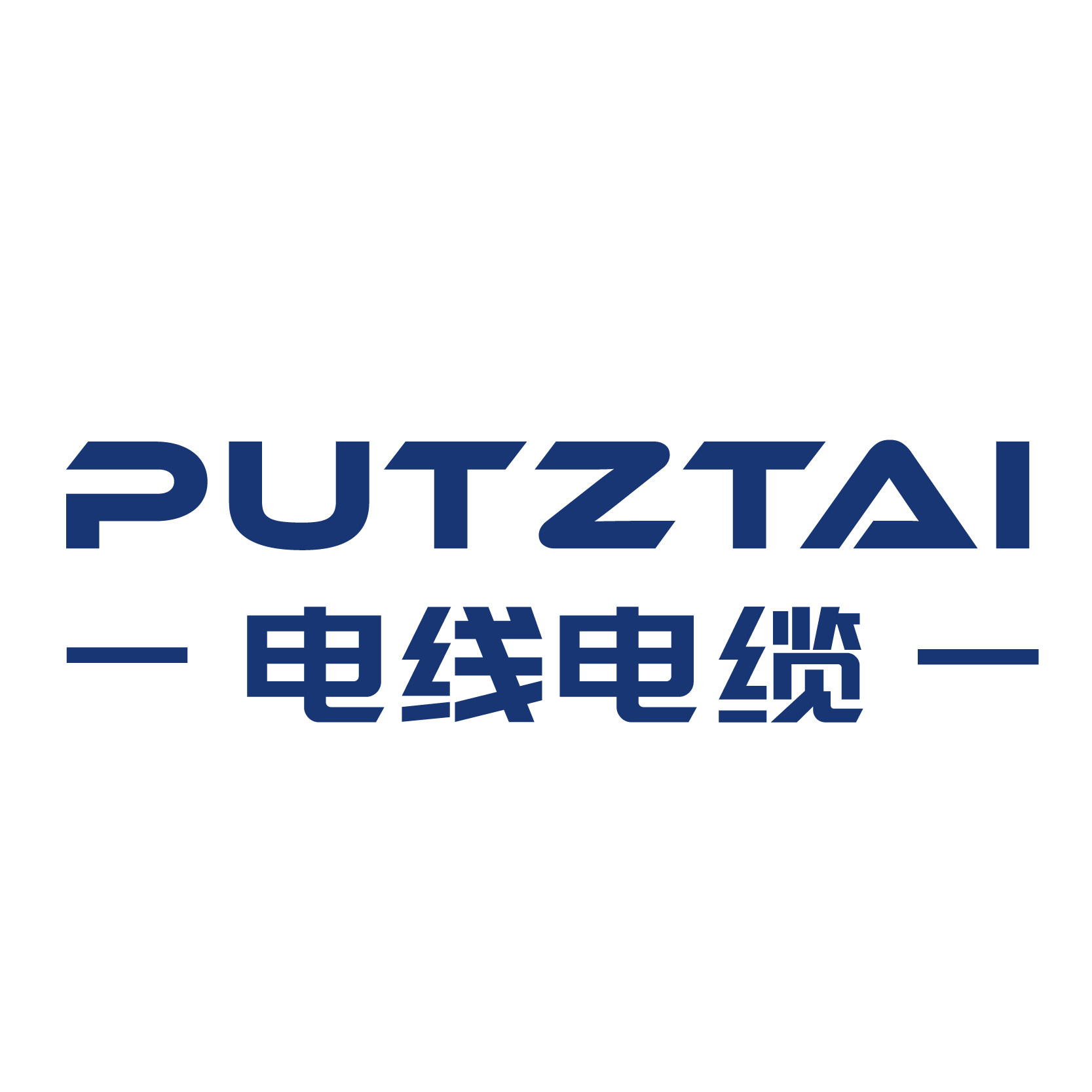 PUTZTAI电揽电线
