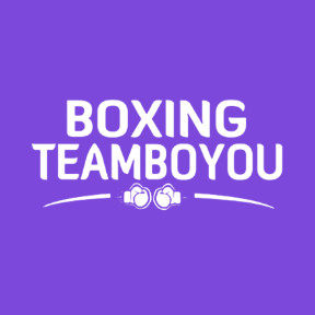 TEAM搏击用品 店铺LOGO